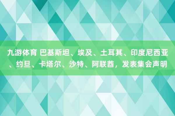 九游体育 巴基斯坦、埃及、土耳其、印度尼西亚、约旦、卡塔尔、沙特、阿联酋，发表集会声明