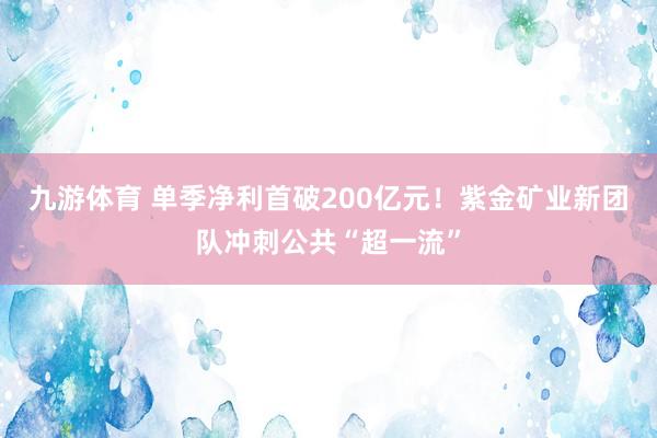 九游体育 单季净利首破200亿元！紫金矿业新团队冲刺公共“超一流”